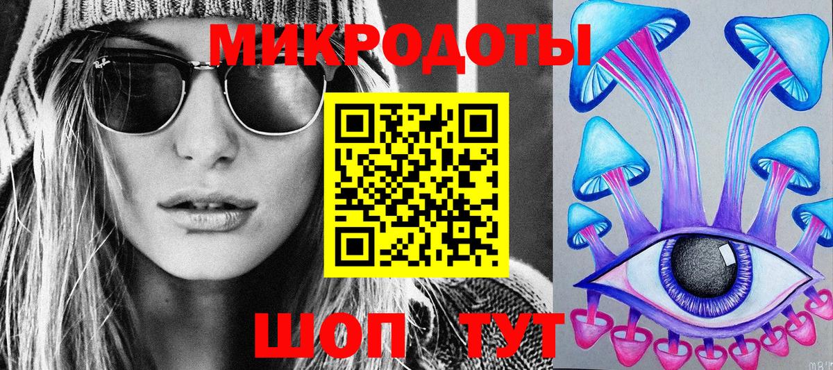 Псилоцибиновые грибы Psilocybe Светлоград